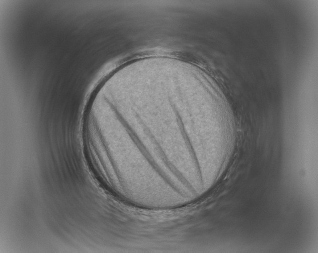 X0000059250006200511111653