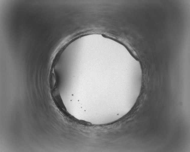 X0000059250007200511111653