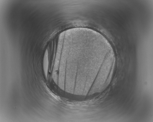 X0000059250009200511111653