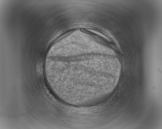 X0000059250010200511111653