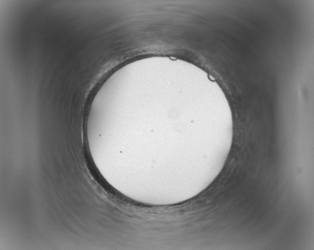 X0000059250011200511111653