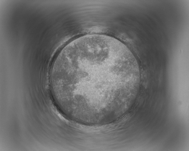 X0000059250012200511111653