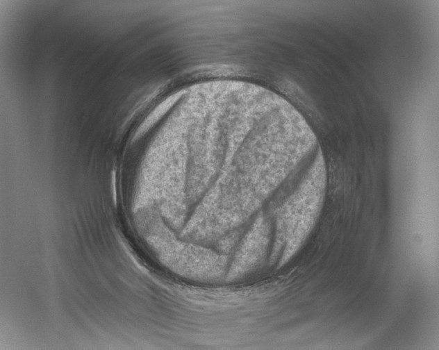 X0000059250014200511111653