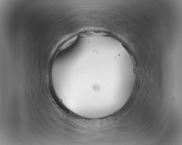 X0000059250015200511111653