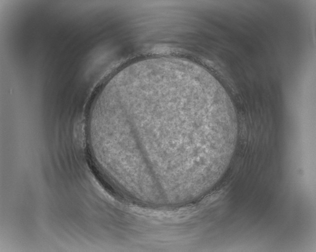 X0000059250016200511111653