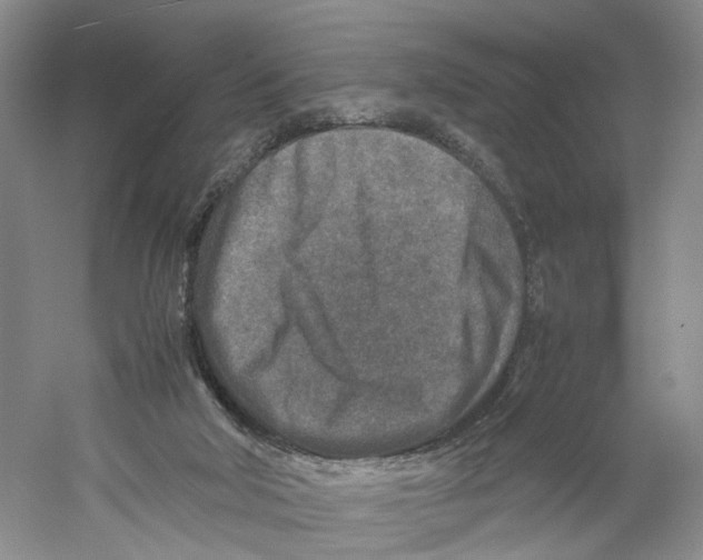 X0000059250018200511111653