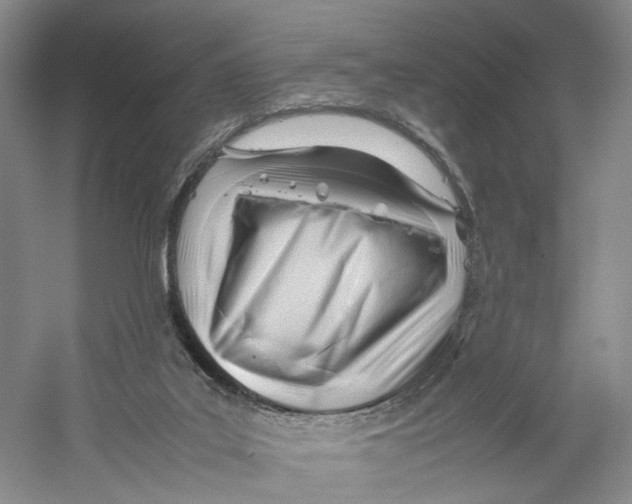 X0000059250019200511111653