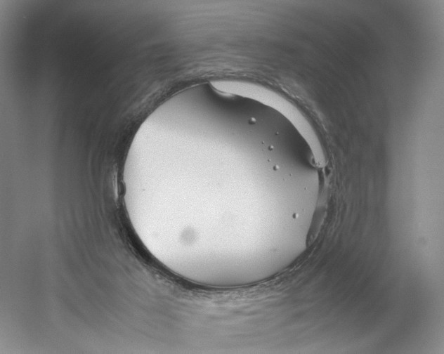 X0000059250021200511111653