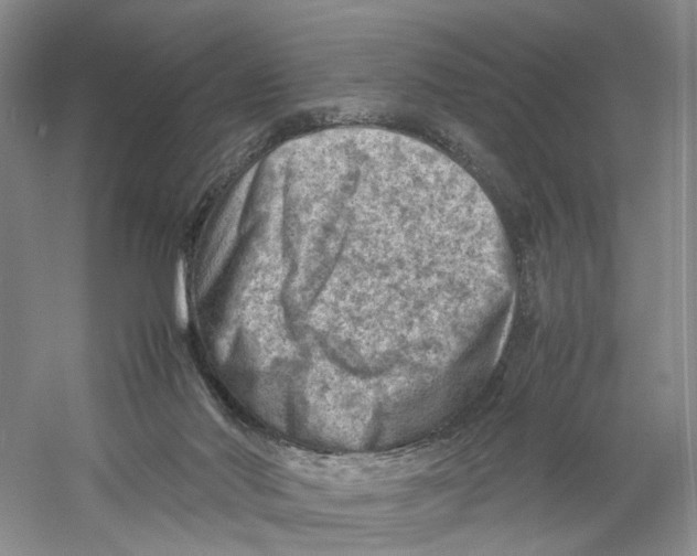 X0000059250022200511111653