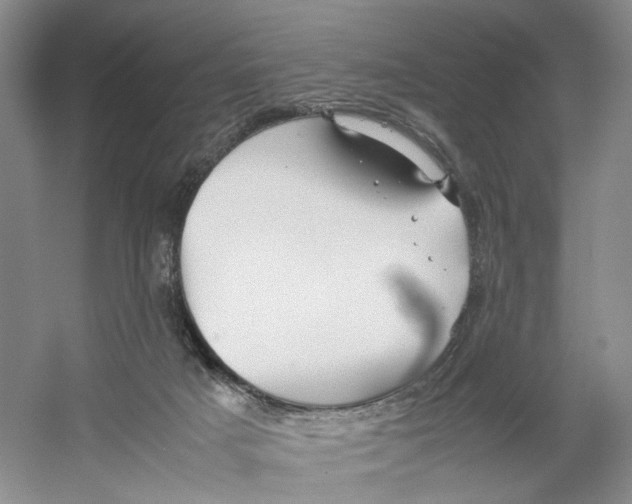 X0000059250025200511111653