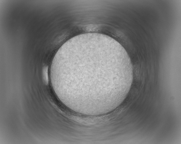 X0000059250028200511111653