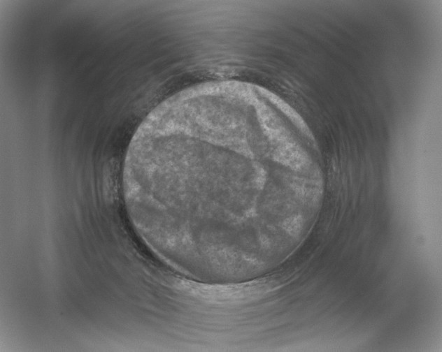 X0000059250030200511111653