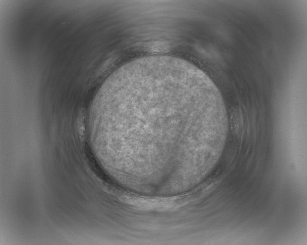 X0000059250032200511111653