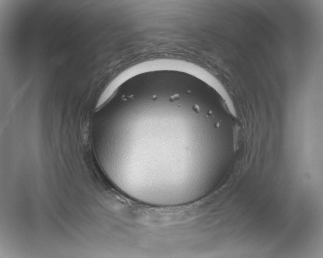 X0000059250033200511111653