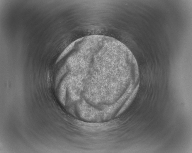 X0000059250034200511111653