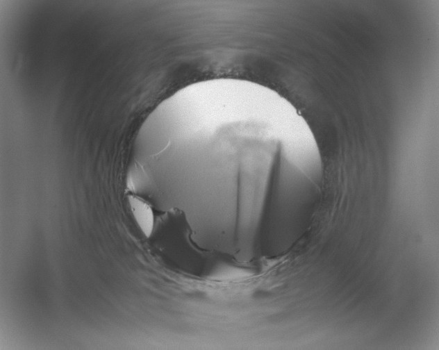 X0000059250039200511111653