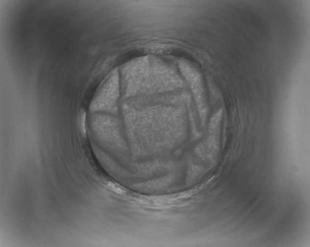 X0000059250041200511111652