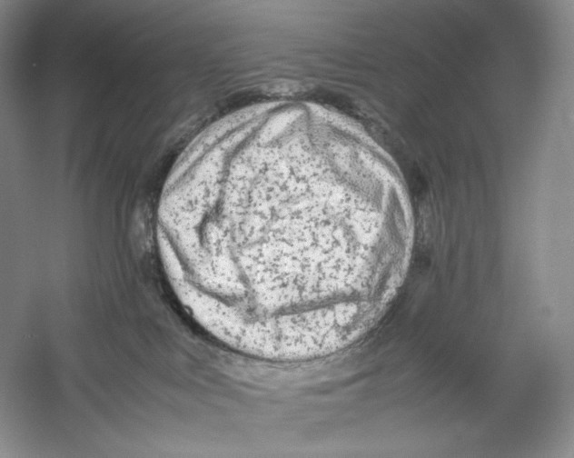 X0000059250043200511111652