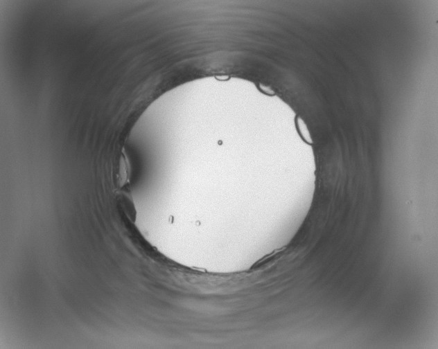 X0000059250044200511111652