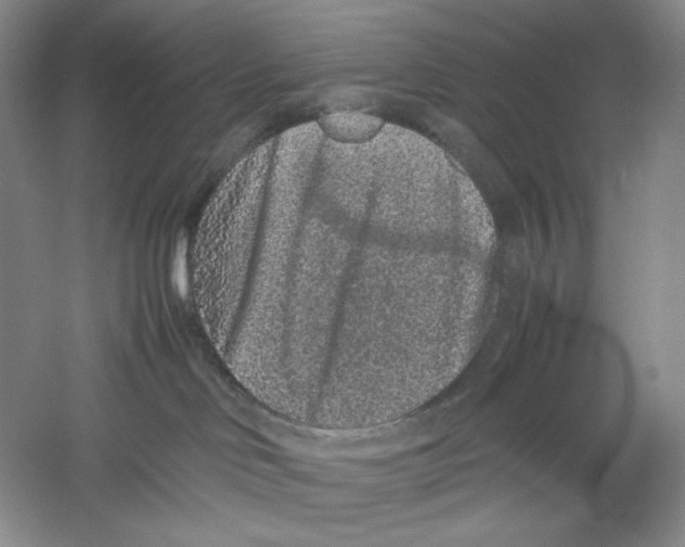 X0000059250046200511111652