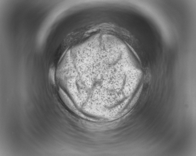 X0000059250047200511111652