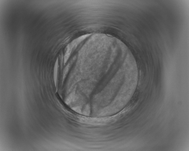 X0000059250048200511111652