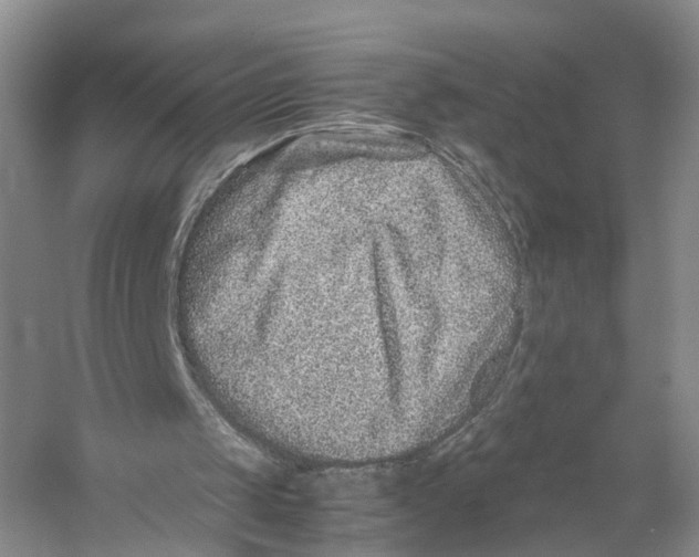 X0000059250049200511111652