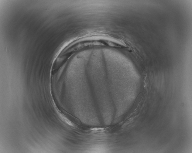 X0000059250052200511111652