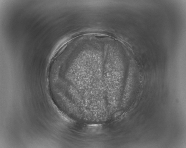 X0000059250053200511111652