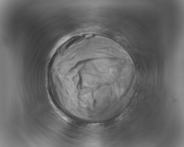 X0000059250054200511111652