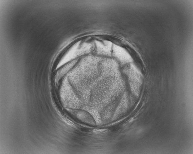 X0000059250055200511111652