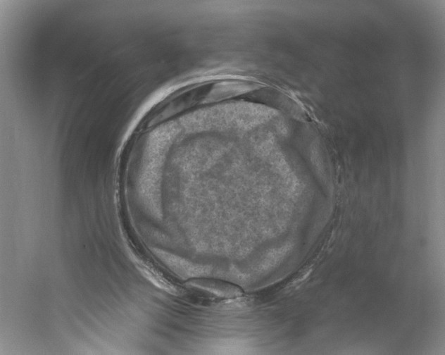 X0000059250056200511111652