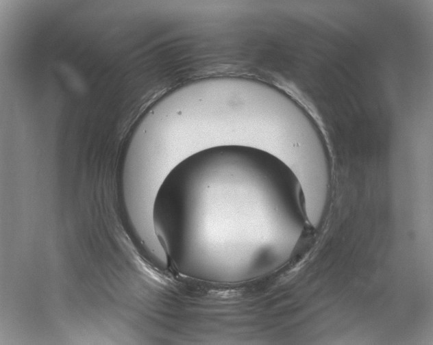 X0000059250057200511111652