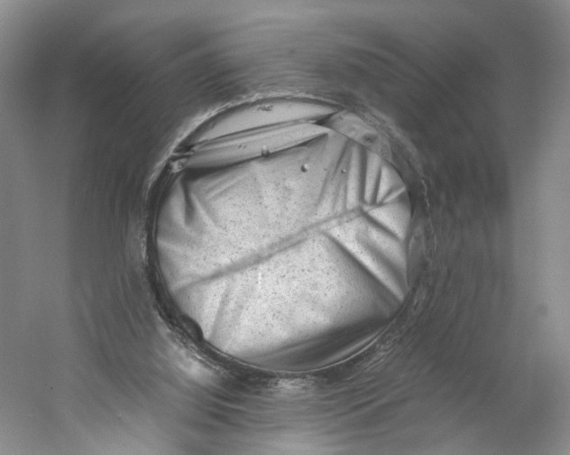 X0000059250060200511111652