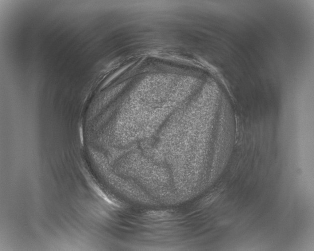 X0000059250061200511111652