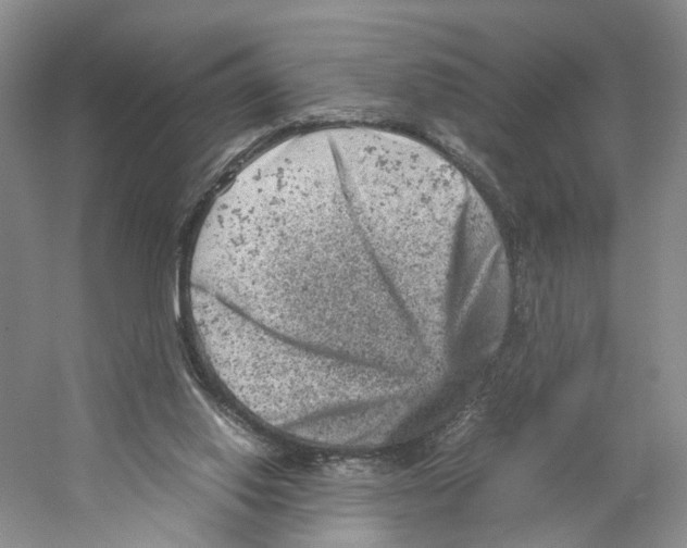 X0000059250062200511111652