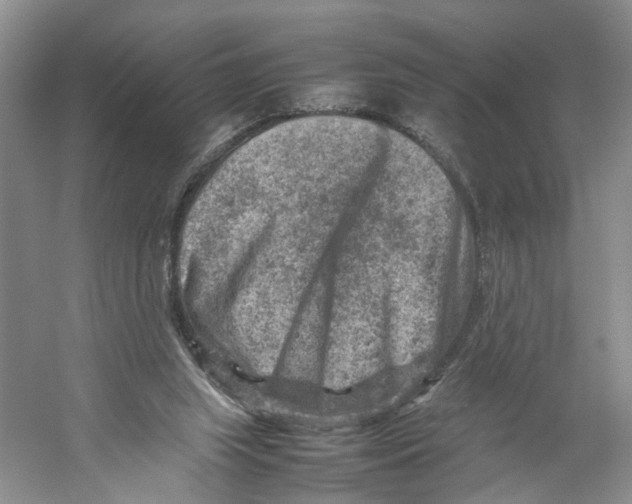 X0000059250063200511111652