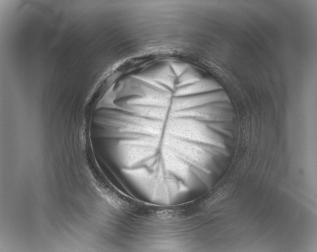 X0000059250064200511111652