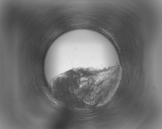 X0000059250069200511111652