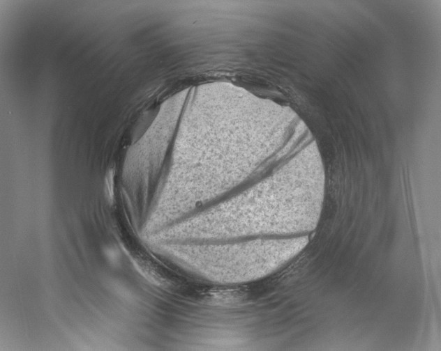 X0000059250070200511111652