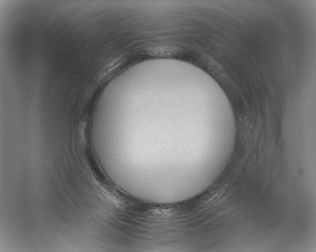 X0000059250071200511111652