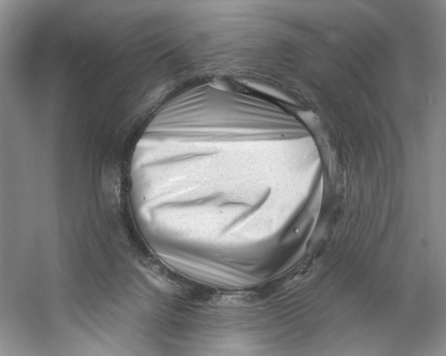 X0000059250072200511111652