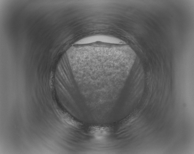 X0000059250073200511111652