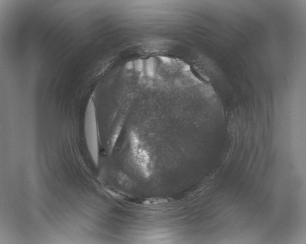 X0000059250076200511111652