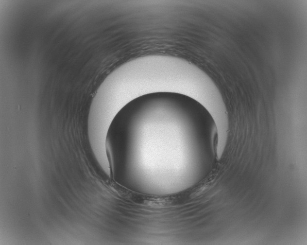 X0000059250079200511111652