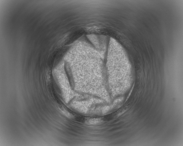 X0000059250081200511111652