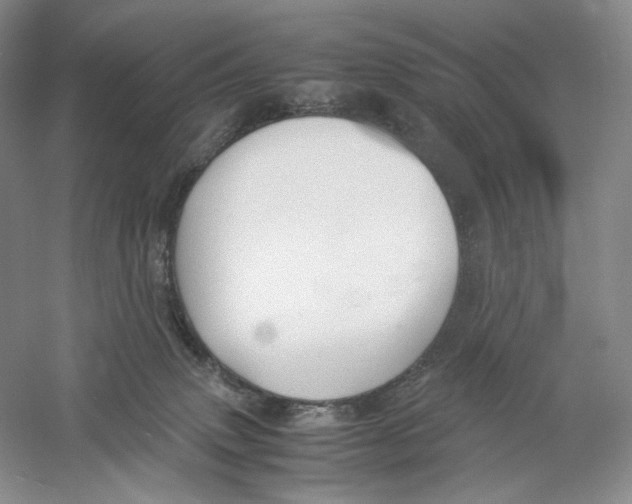 X0000059250083200511111652