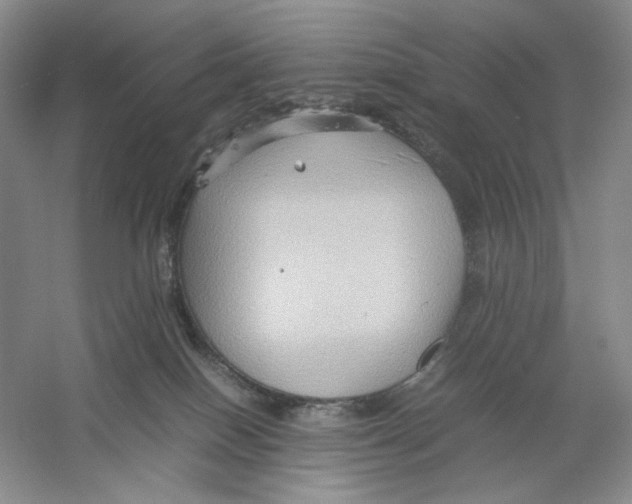 X0000059250086200511111652