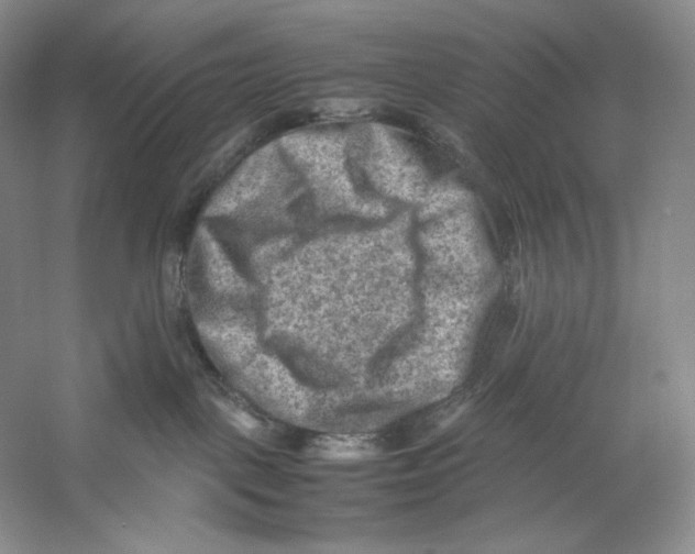 X0000059250093200511111652