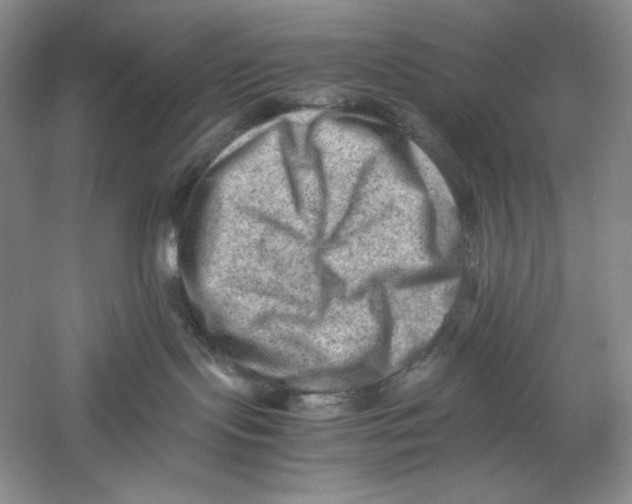 X0000059250095200511111652